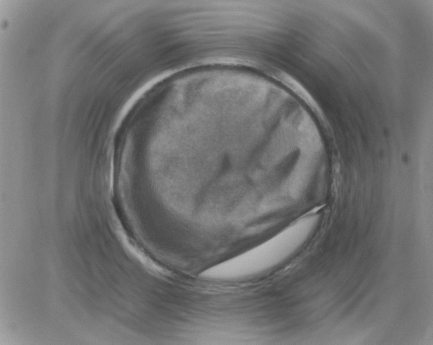 X0000082721132200702232315