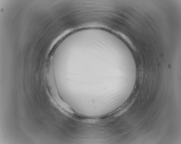 X0000082721134200702232315