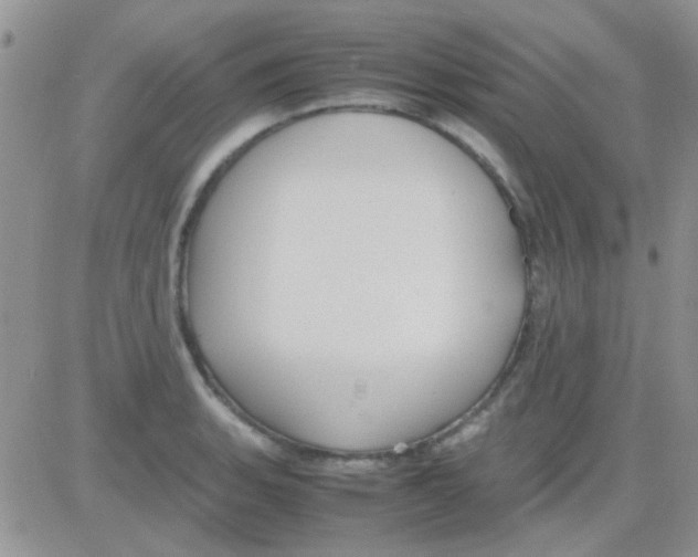 X0000082721135200702232315