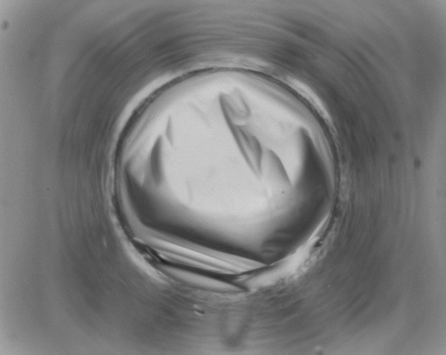 X0000082721136200702232315