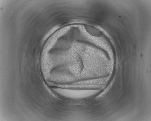 X0000082721137200702232315