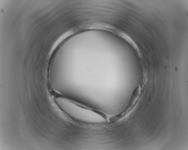 X0000082721138200702232315