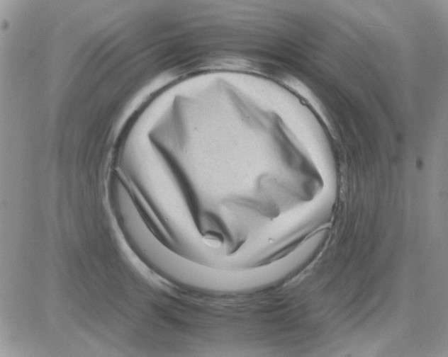 X0000082721139200702232315