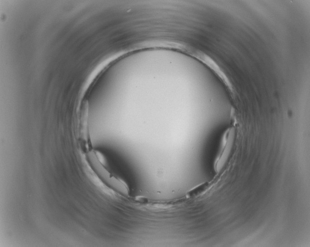 X0000082721140200702232315