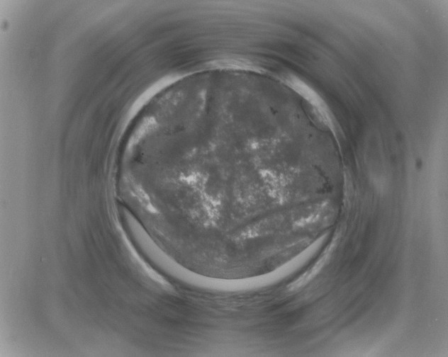 X0000082721141200702232315