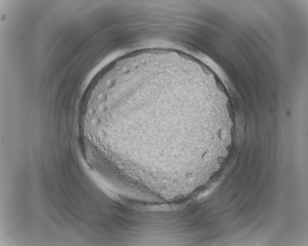 X0000082721142200702232315