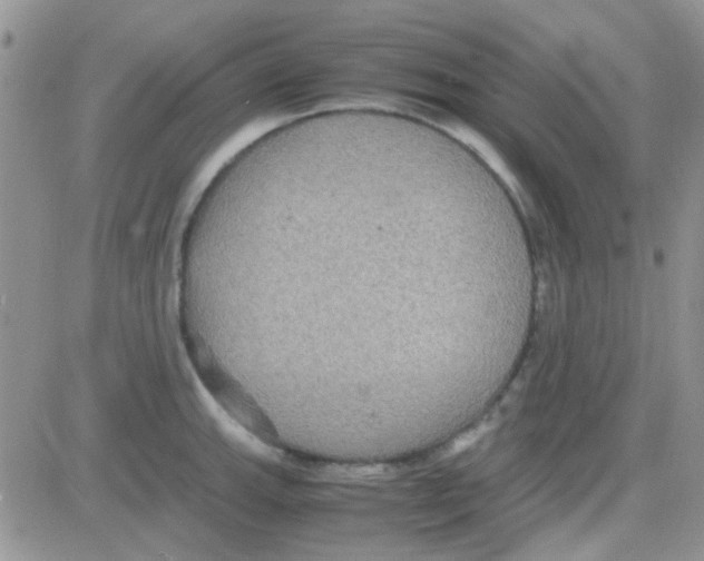 X0000082721143200702232315