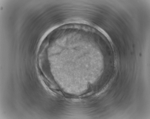 X0000082721144200702232315