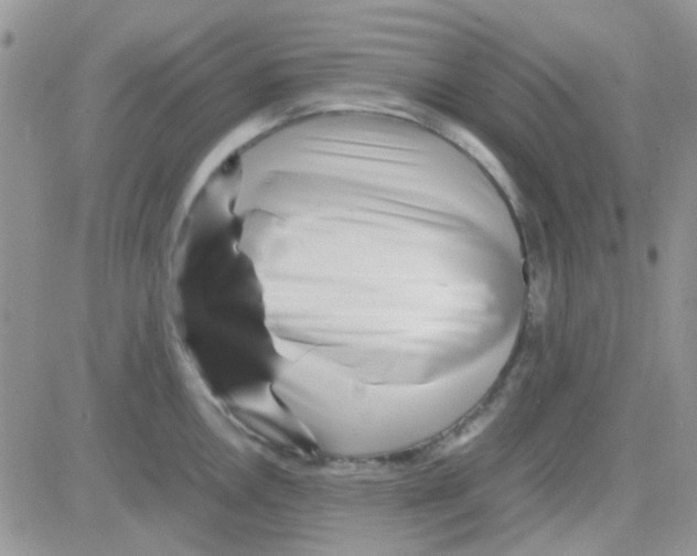 X0000082721146200702232315