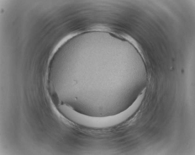 X0000082721147200702232315