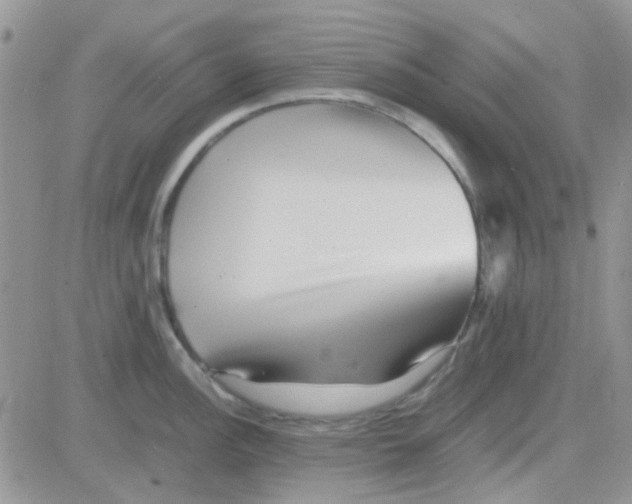 X0000082721148200702232315