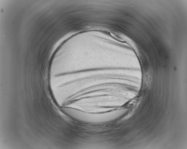 X0000082721149200702232315