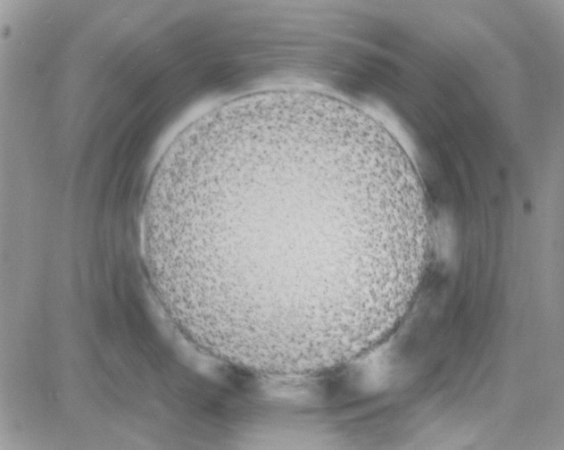 X0000082721150200702232315