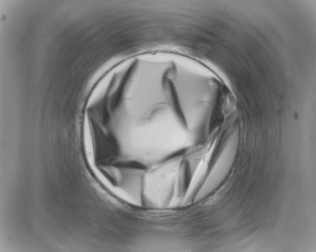 X0000082721151200702232315