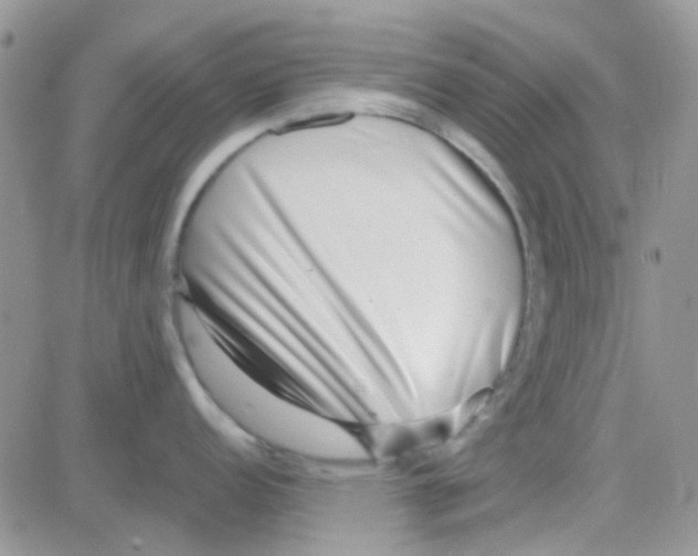 X0000082721152200702232315