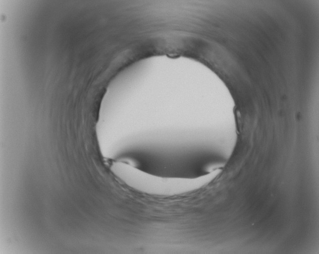 X0000082721153200702232314