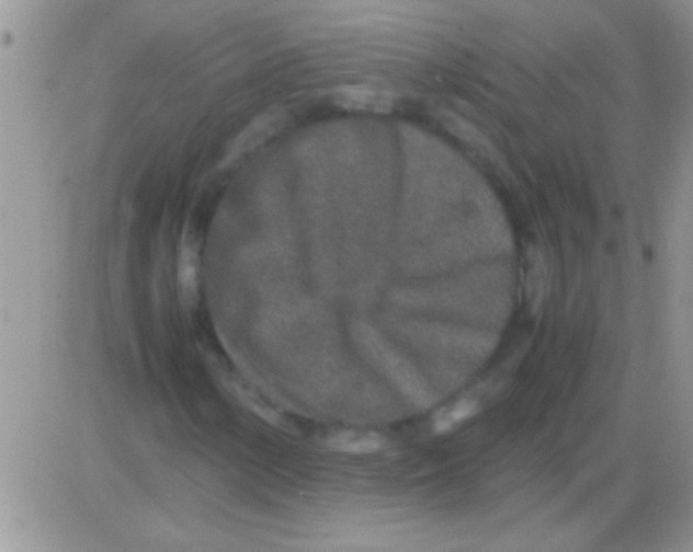 X0000082721154200702232314