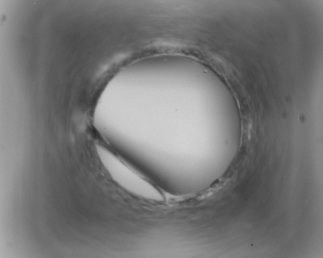 X0000082721157200702232314