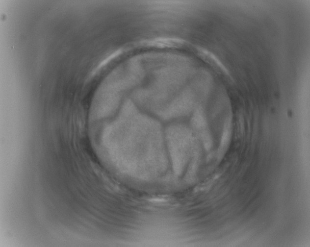 X0000082721158200702232314