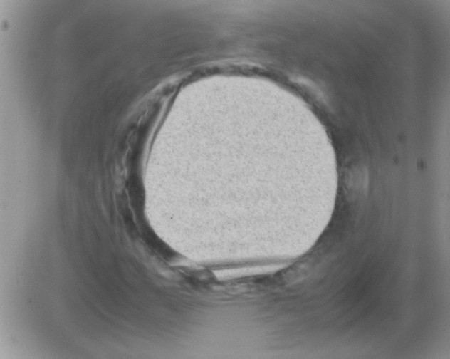 X0000082721159200702232314