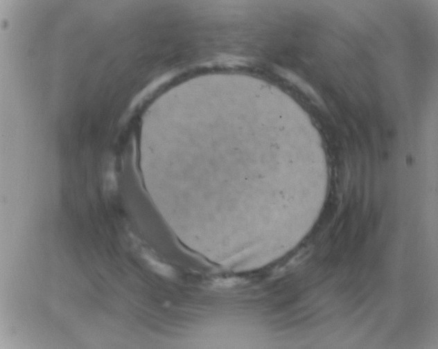 X0000082721160200702232314