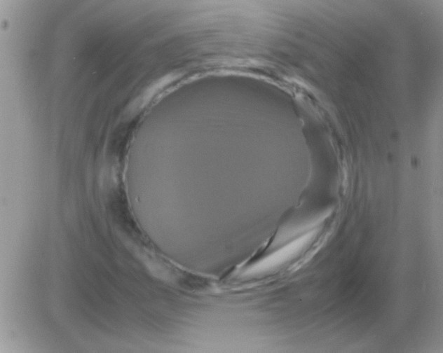 X0000082721161200702232314