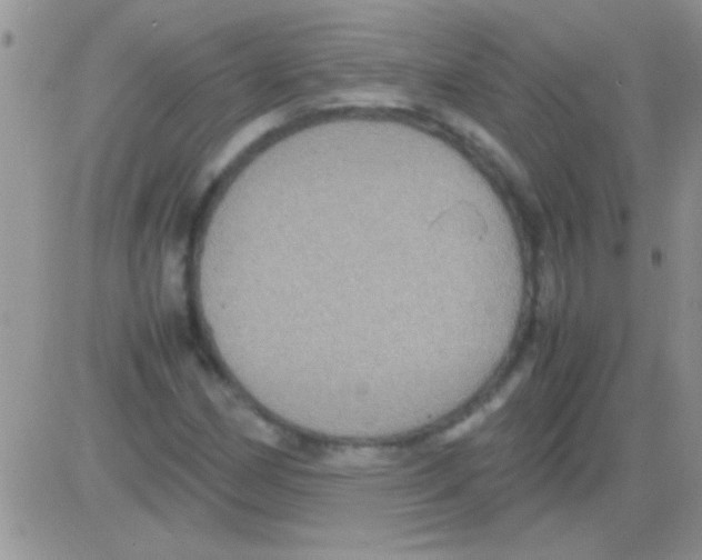 X0000082721162200702232314