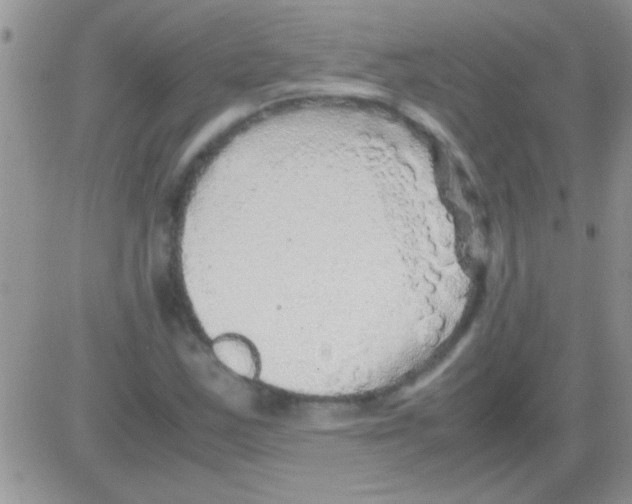 X0000082721163200702232314