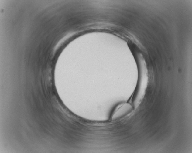 X0000082721164200702232314