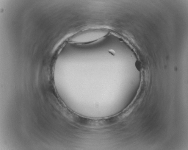 X0000082721165200702232314