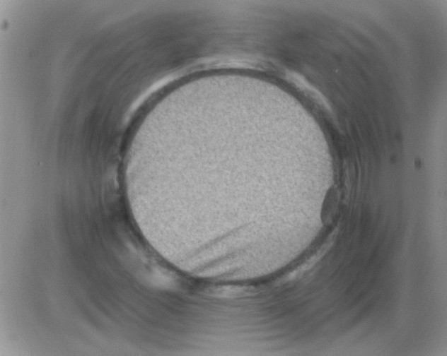 X0000082721166200702232314