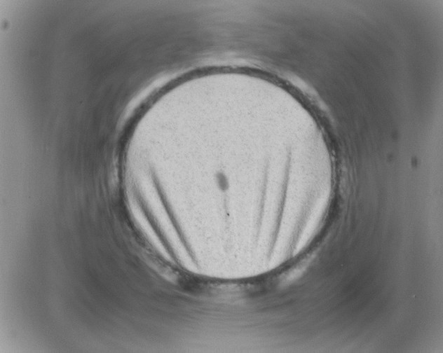 X0000082721167200702232314