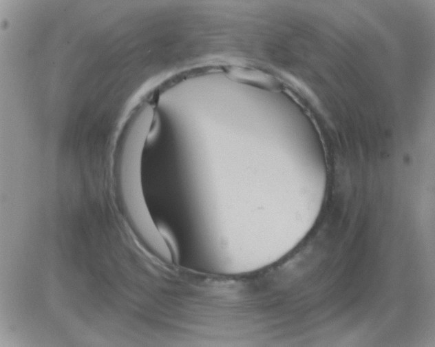 X0000082721168200702232314