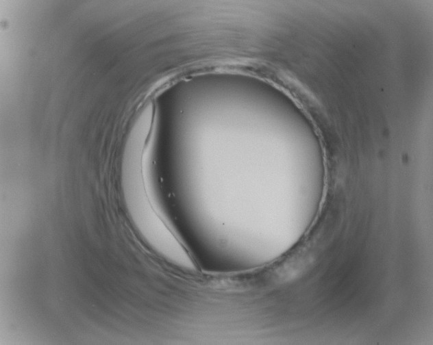 X0000082721169200702232314