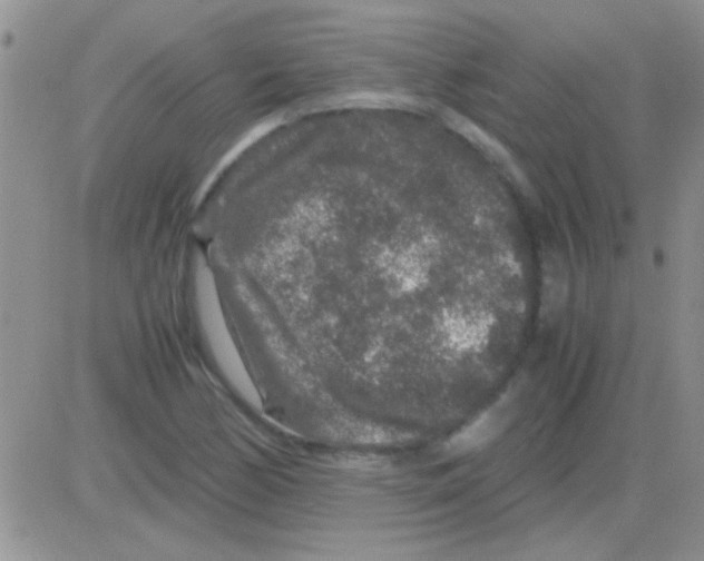 X0000082721170200702232314