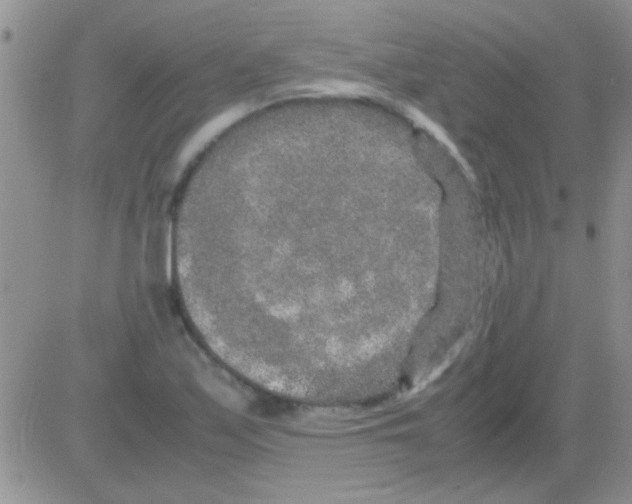 X0000082721171200702232314