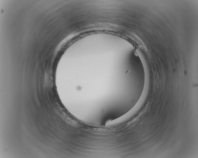 X0000082721172200702232314