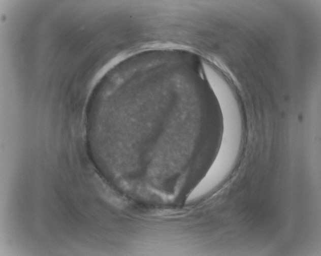 X0000082721173200702232314