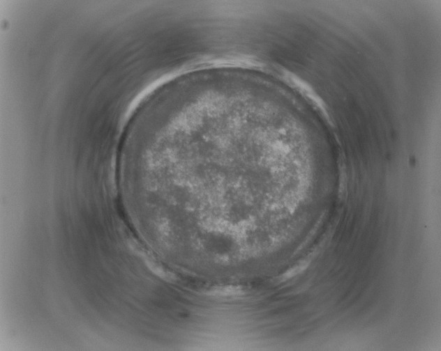 X0000082721174200702232314