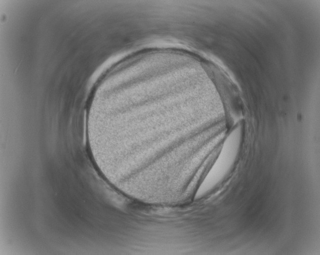 X0000082721175200702232314