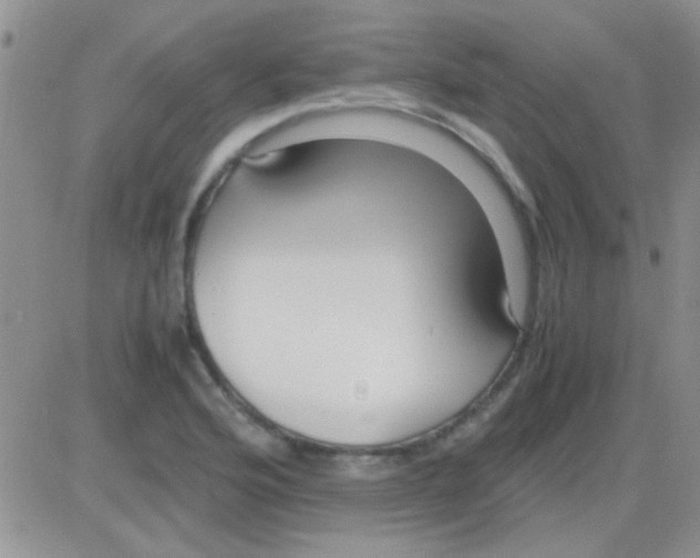 X0000082721176200702232314