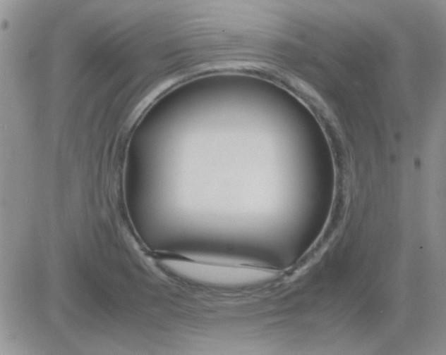 X0000082721177200702232314