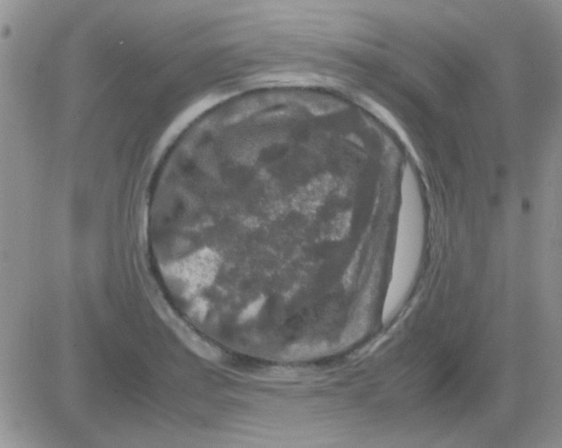 X0000082721179200702232314