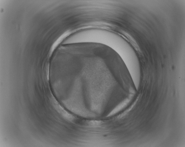 X0000082721180200702232314