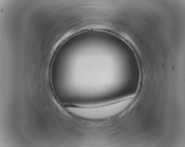 X0000082721181200702232314