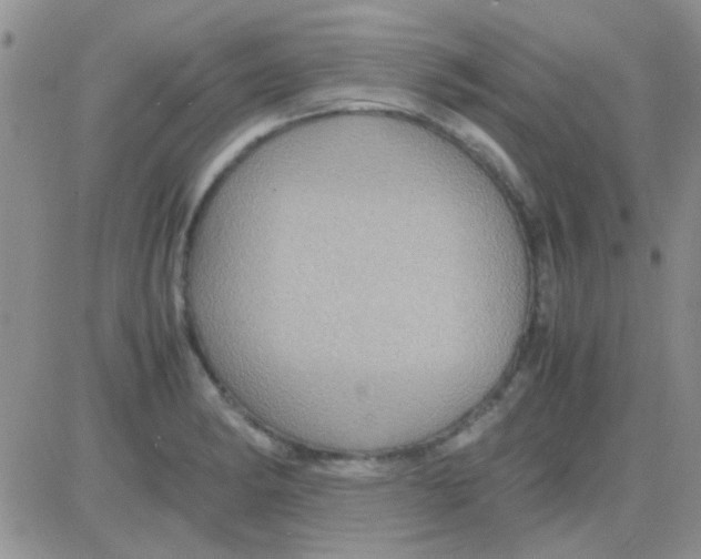 X0000082721182200702232314