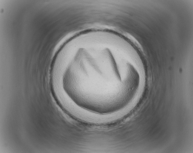 X0000082721183200702232314