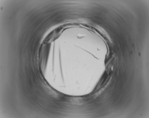 X0000082721184200702232314