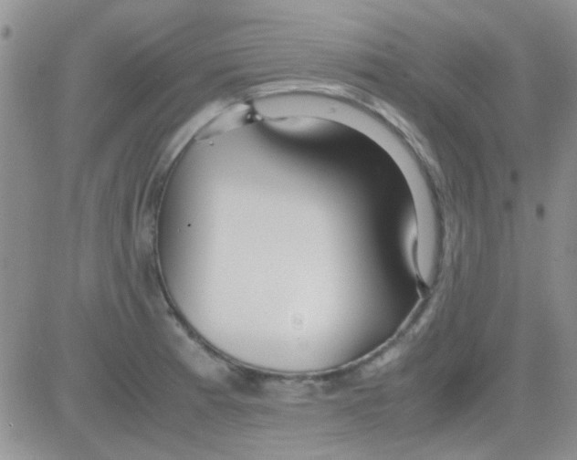 X0000082721185200702232314