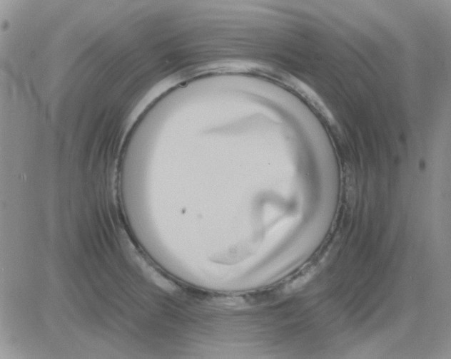 X0000082721186200702232314